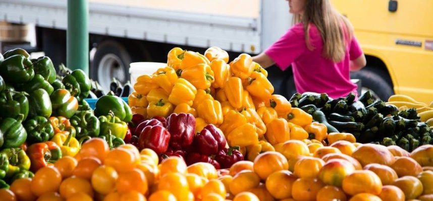 frutas-y-vegetables-en-europa-1024x600