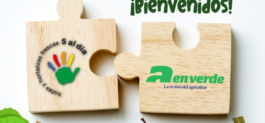 5 al dia a enverde