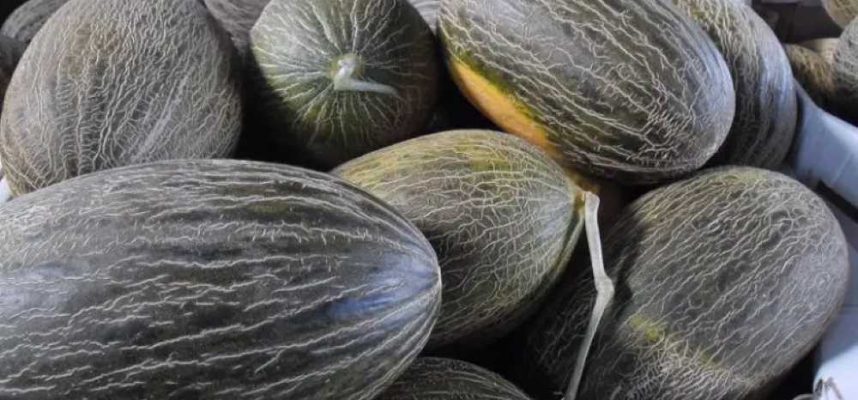 melones