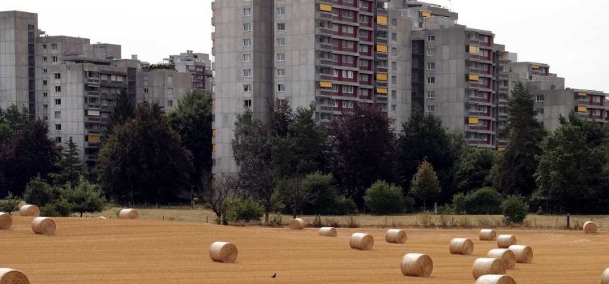 campo-y-ciudad