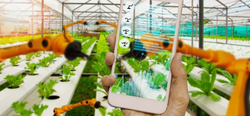 inteligencia-artificial-y-agricultura