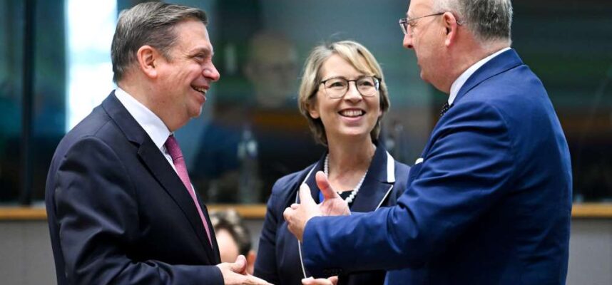 planas-union-europea