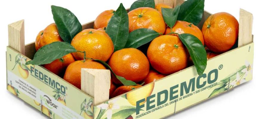FEDEMCO Caja 05