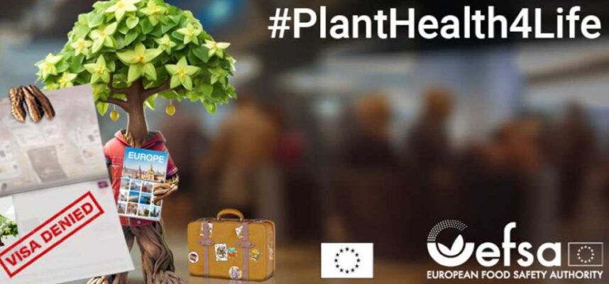 PlantHealth4Life