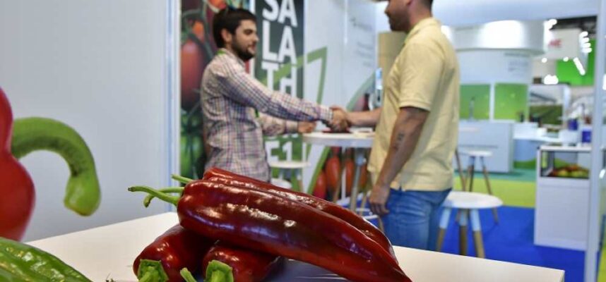 Foto_nota_2_IE2025-_baja
