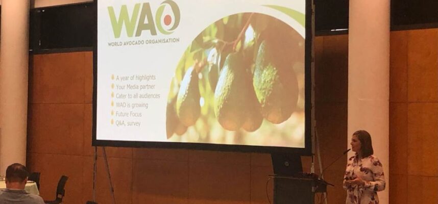 congreso-avocado