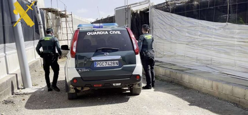 guardia-civil