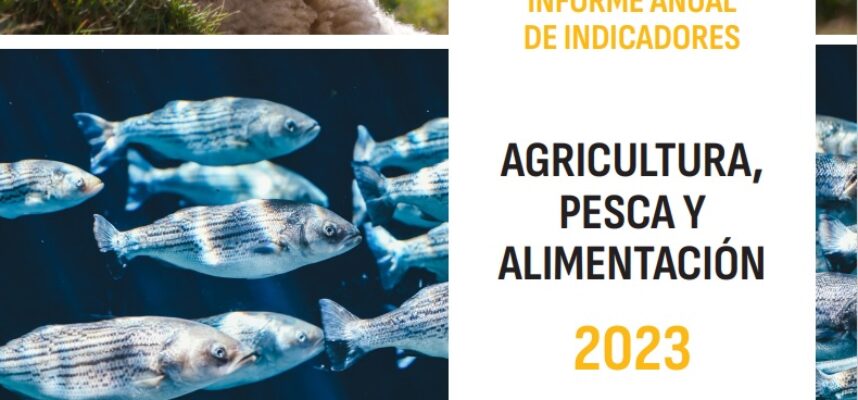 informeindicadores2023_tcm30-694253