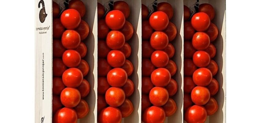 cajas-de-tomate