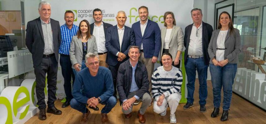 coops-faeca