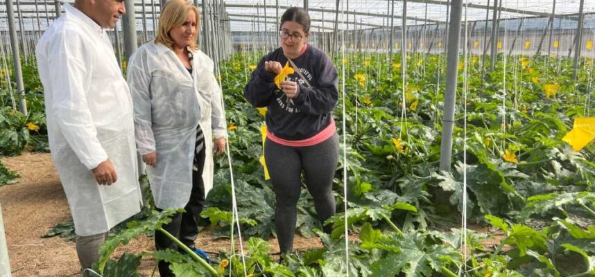 AYUDAS-JOVENES-AGRI-2-002