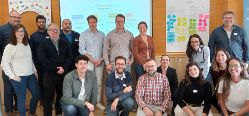 proyecto coex ual
