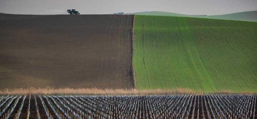 SEGUROS-AGRARIOSv