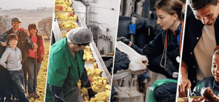 consejo-europeo-agro