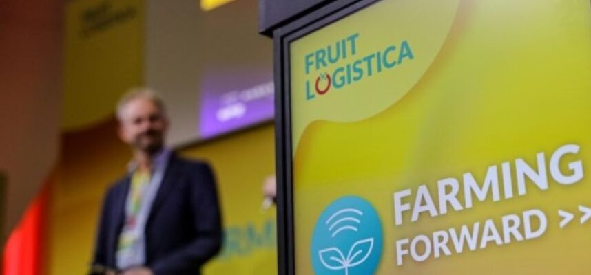frjuit-logistica