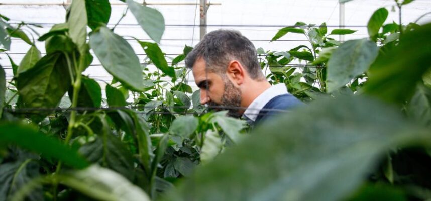 Consejería de Agricultura