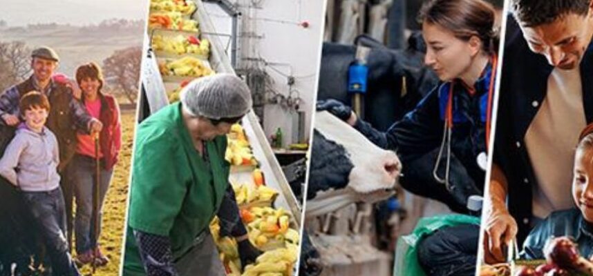 Comte-Europeo-Agricultura-y-Alimentacion