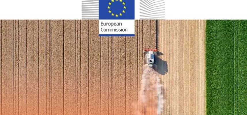 portada-eurobarometro
