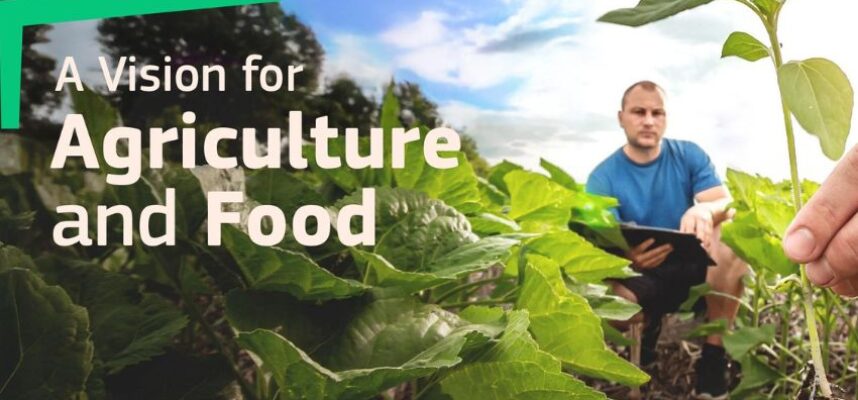 Visión Agricultura Alimentación UE