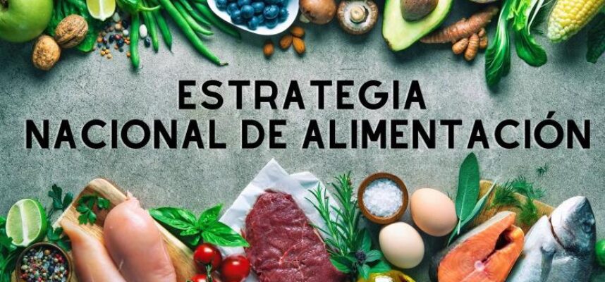 estrategia-alimentacion