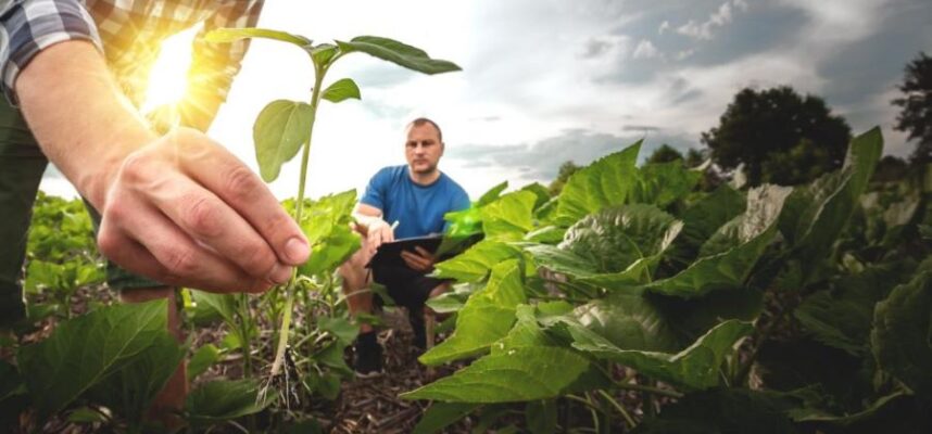 vision-agricultura