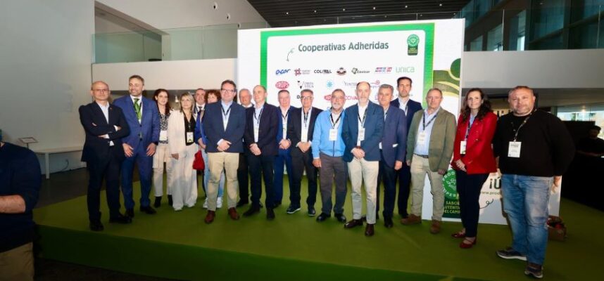 Producto-Cooperativo-1