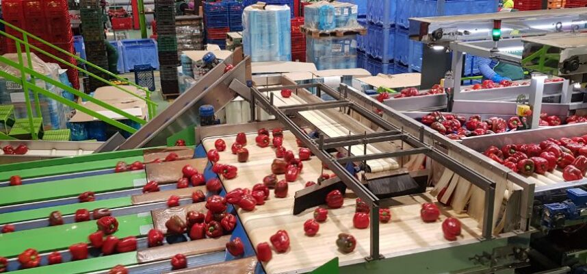 Exportacion_almacen