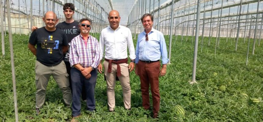 No cortes en verde 2025 (1)