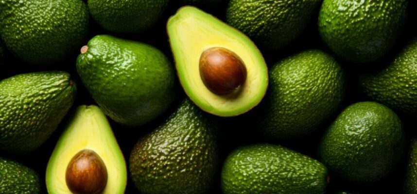 Aguacates-recurso
