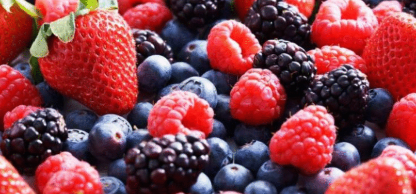 Frutos rojos