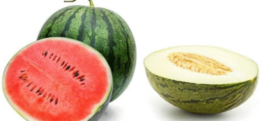 Melon y sandia