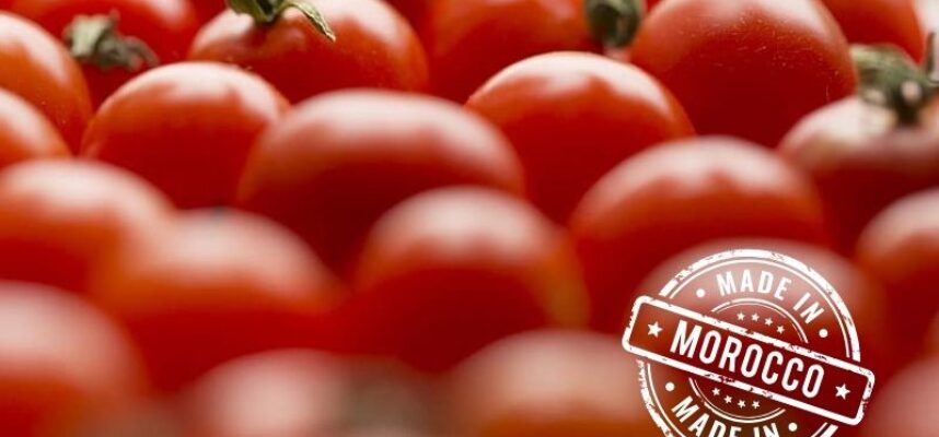 tomate-Marruecos