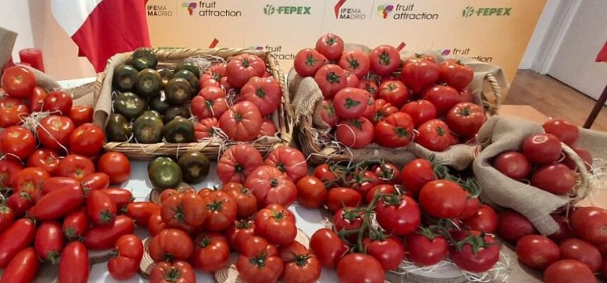 tomate-fruit-attraction