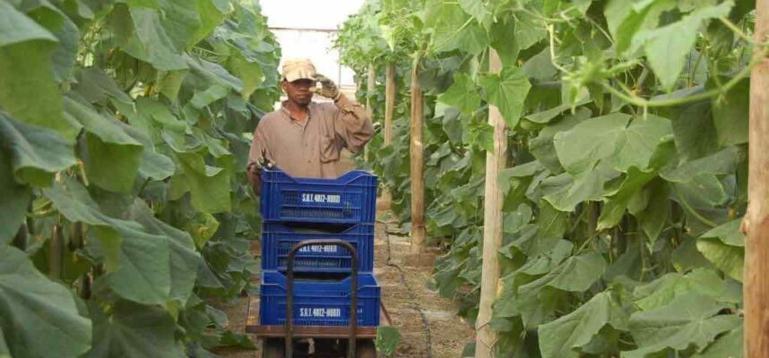 trabajador-inverandero-1024x600