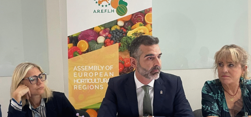AREFLH_Andalucía