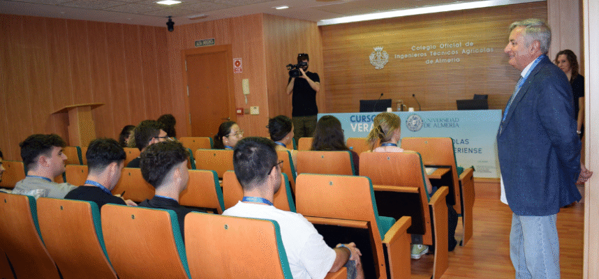 Curso de verano-UAL
