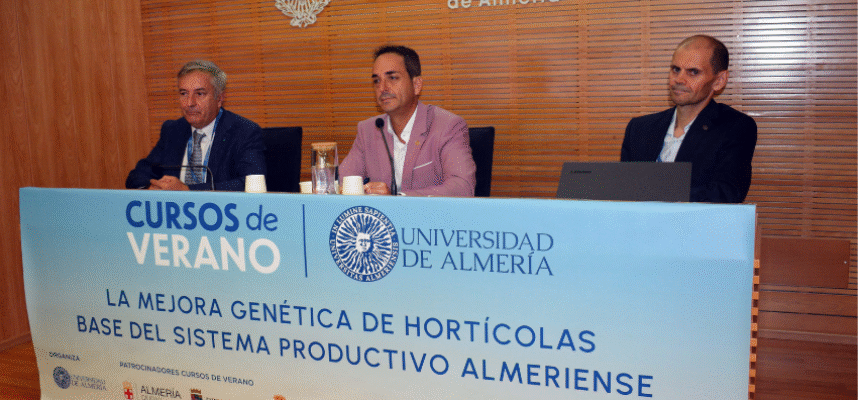 Curso de verano UAL