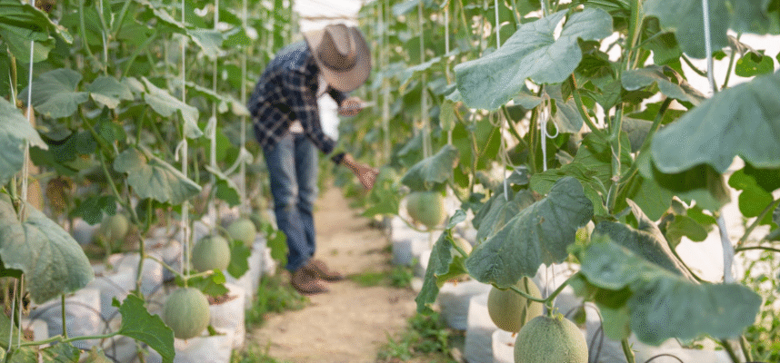 Joven agricultor