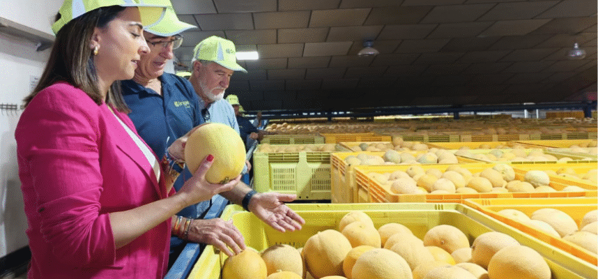 Melón-Gregal-Murcia
