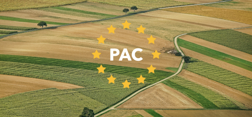 PAC