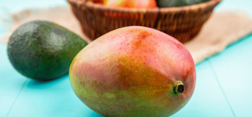 Aguacate_Mango