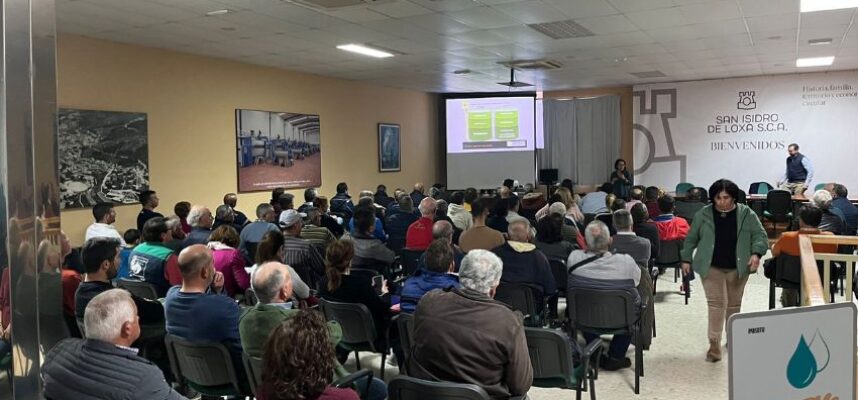 formacion-cooperativas