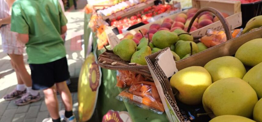 reparto-de-fruta-Murcia-