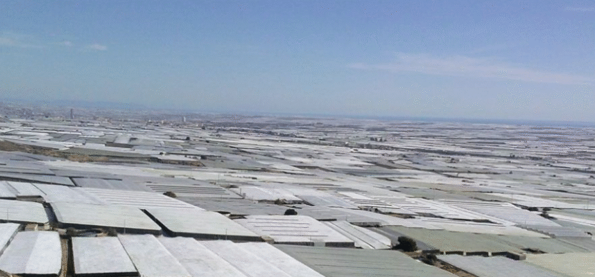 invernaderos-almeria