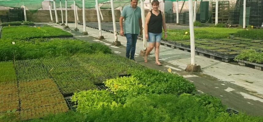 biodiversidad-1-control-plant