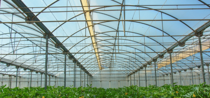 hortyfruta-extension-de-norma