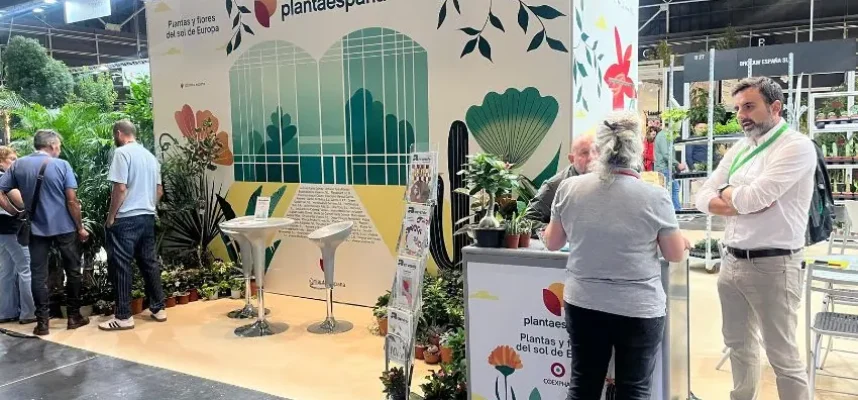 plantaespana