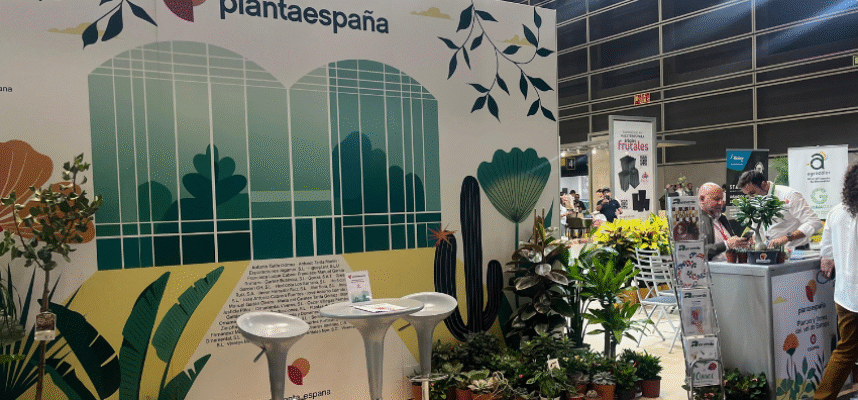 plantaespana-iberflora