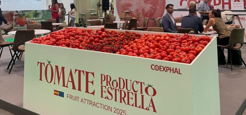 tomate-prodcuto-estrella
