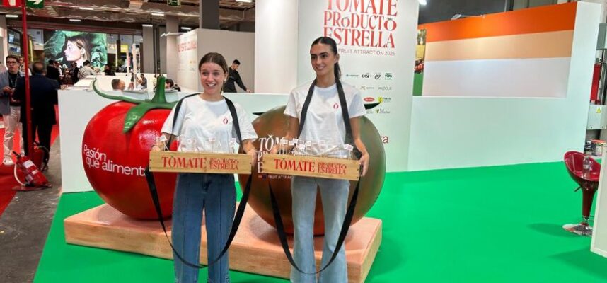 tomate-producto-estrella-1